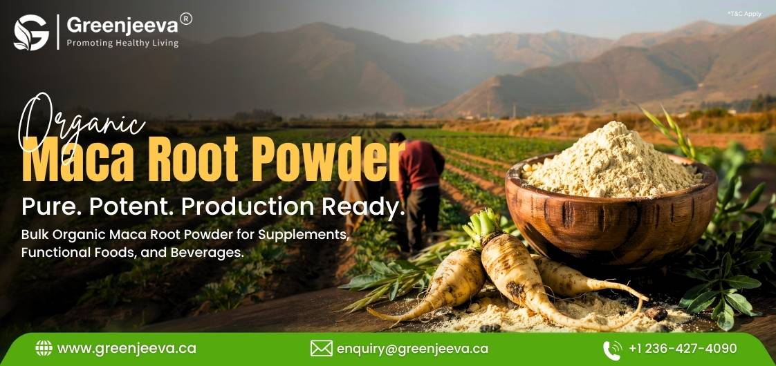 How to Choose an Organic Maca Root Powder Supplier: A Procurement Guide for Canadian Supplement Brands